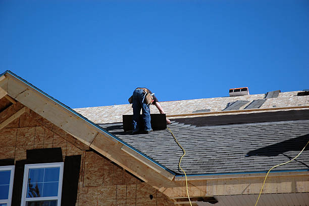 Best Roof Moss and Algae Removal  in St Louis, MO